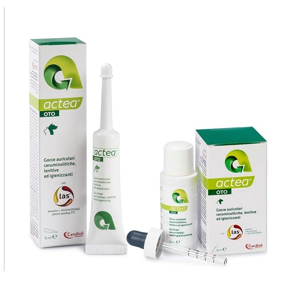 Actea Oto