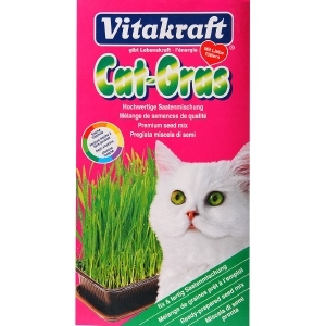 Cat Grass