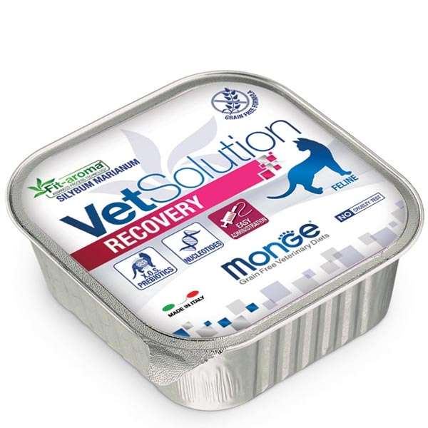VetSolution Recovery - Gatto