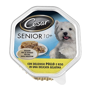 Senior 10+ Pollo e Riso in Gelatina