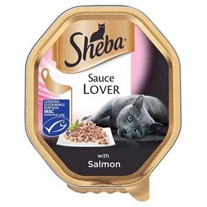 Sauce Lover con Salmone