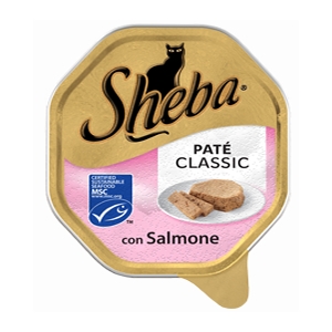 Paté Classic con Salmone