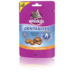 Dentabits