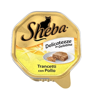 Delicatezze in Gelatina Trancetti con Pollo