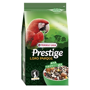 Loro Parque Ara