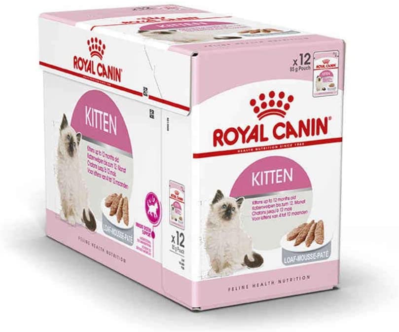 Kitten in Patè