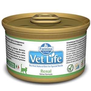 Vet Life Renal Lattina Gatto