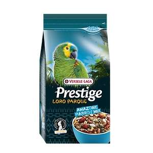 Loro Parque Amazzoni