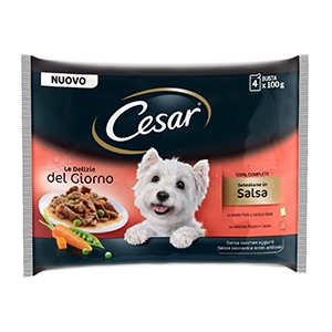 Delizie del Giorno Multipack Selezione in Salsa