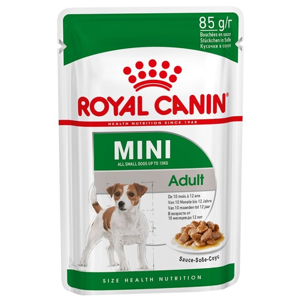 Mini Adult