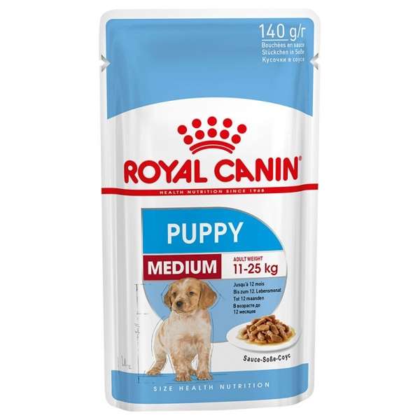 Medium Puppy
