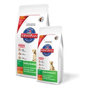 Science Plan Puppy Healthy Development Large Breed con Pollo