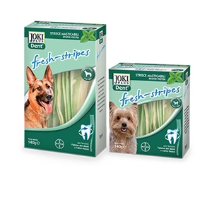 Joki Plus Dent Cane Taglia Grande