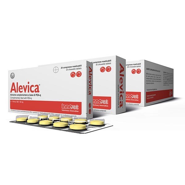 Alevica