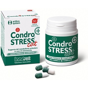 Condrostress (+) Cat
