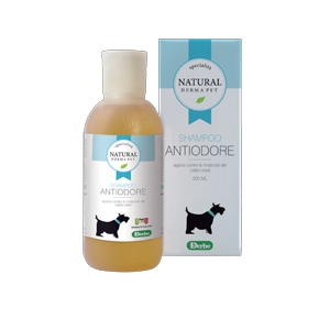 Shampoo Antiodore