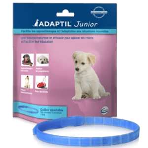Adaptil Junior Collare