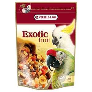 Pappagalli Exotic Fruit - P421781