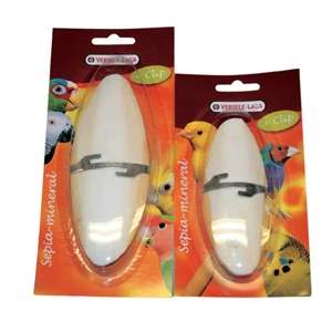 Ossi di Seppia da 16 cm - P451339