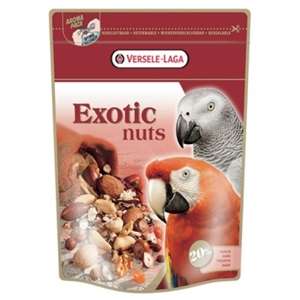 Pappagalli Exotic Nuts - P421782