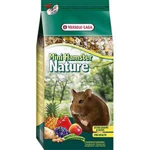 Mini Hamster Nature
