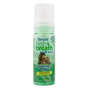 Fresh Breath Mint Foam