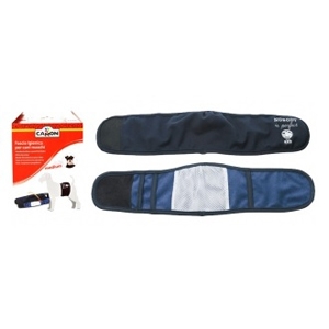 Fascia Igienica per Cani Maschi Blu Taglia S - C220/2