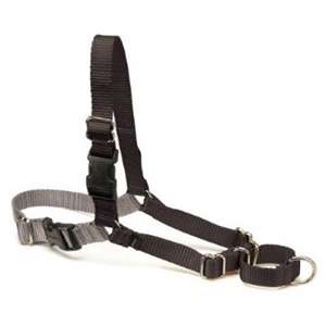 Pettorina d'Addestramento EasyWalk Professional | Taglia L/XL 72/110 cm - TX12986