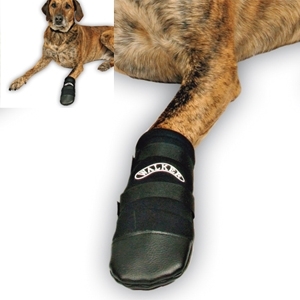 Protezioni per le Zampe Walker Care | Taglia S - TX1956