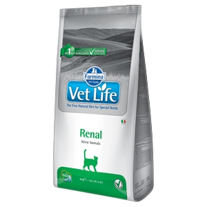 Vet Life Renal Gatto