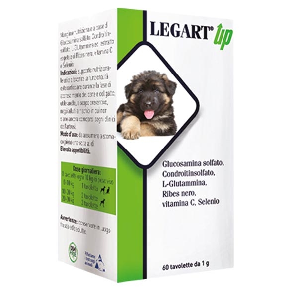 Legart Up - Confezione | 60 Compresse da 1 gr