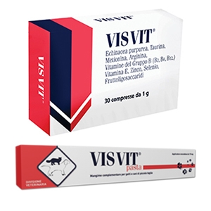 Visvit