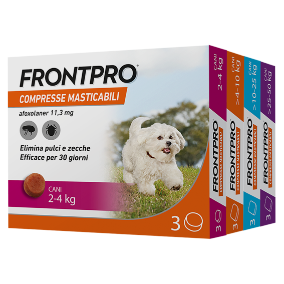 Frontpro