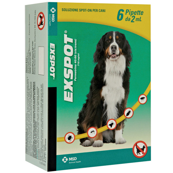 Exspot - 6 pipette da 2 ml