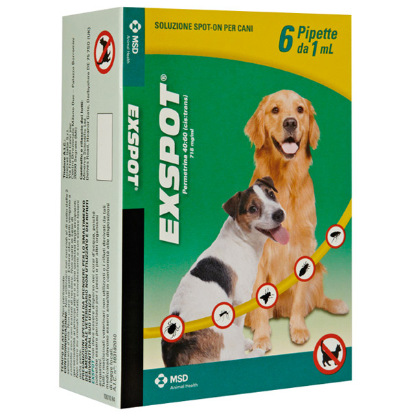 Exspot - 6 Pipette da 1 ml