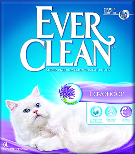 Wonderfood - Lettiera Profumata alla Lavanda - Lettiera per gatti - 6 lt