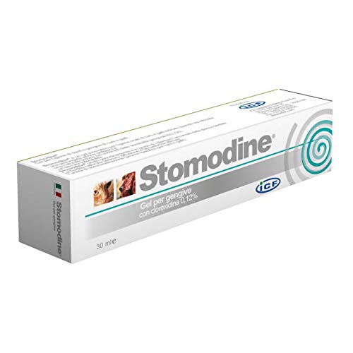 Stomodine Gel - Tubetto da 30 ml