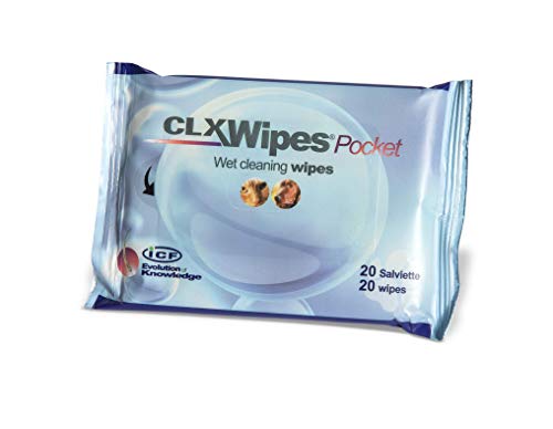 Salviette umidificate CLX Wipes Pocket - Confezione da 20 Salviette