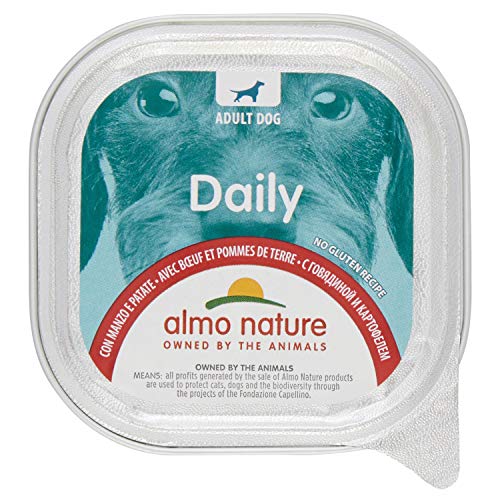 Daily Menu con Manzo E Patate 