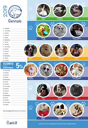 Calendario 2019 - allegato:1