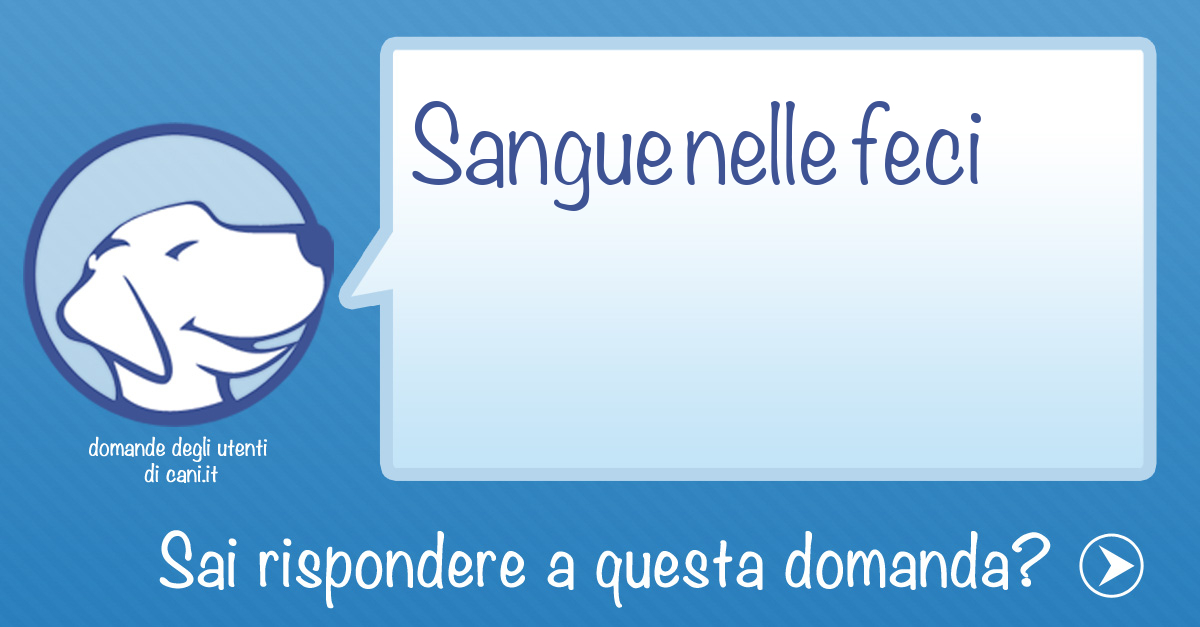 Sangue nelle feci del cane