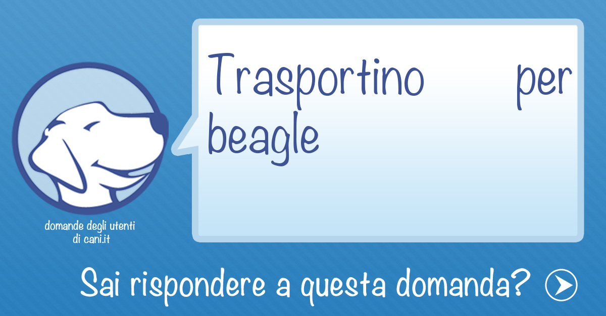 Trasportino per Beagle