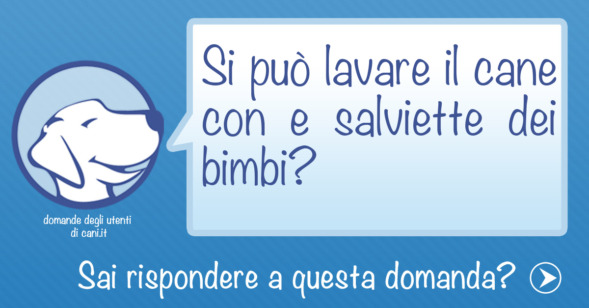 Si può lavare il cane con e salviette dei bimbi?