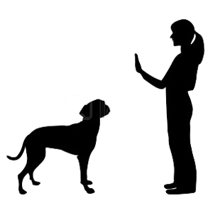 Come insegnare il comando RESTA al cane