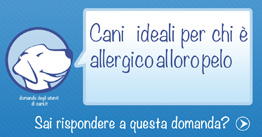 pelo del cane per chi è allergico