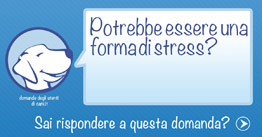 Cane sotto stress?