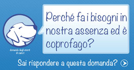 Cane fa i bisogni in nostra assenza ed è coprofago