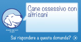 consigli su come fare con un cane aggressivo con altri cani