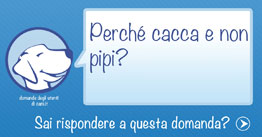 La mia cucciola ha iniziato a fare la cacca fuori , ma di fare la pipì non ne vuole sapere