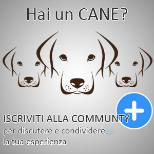 Hai un cane?